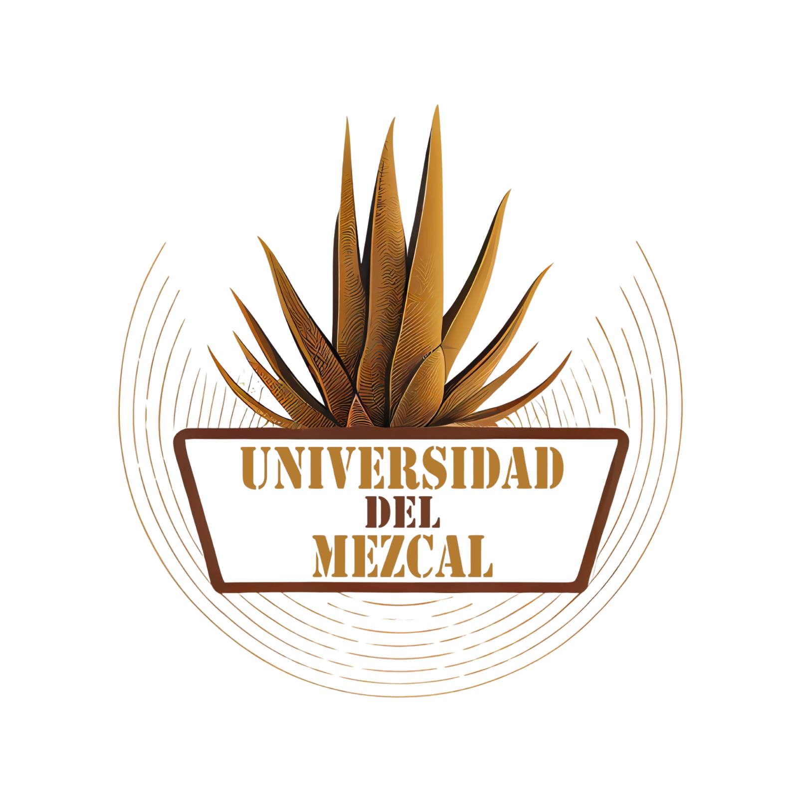 Logo-Universidad-HD