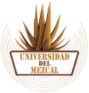 Logo-Universidad-web-home